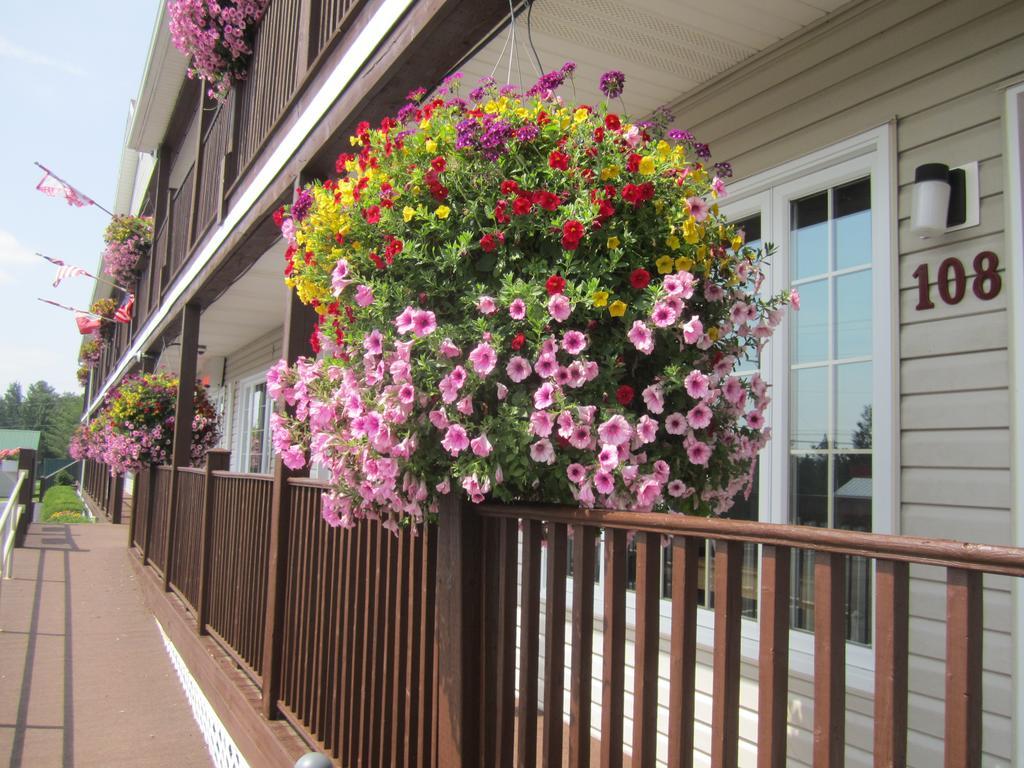 Jackman Bishops Country Inn Motel المظهر الخارجي الصورة
